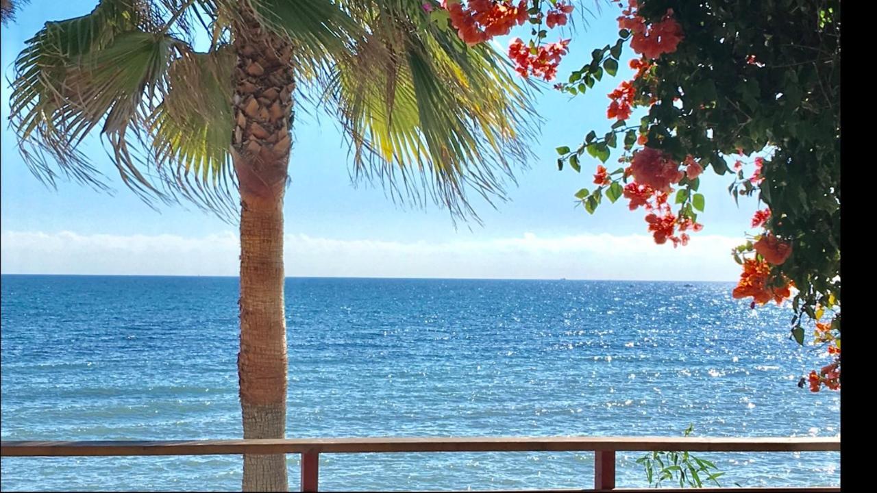 Mi Capricho Beachfront- 3-7 Apartment With Sea Views Sitio de Calahonda المظهر الخارجي الصورة